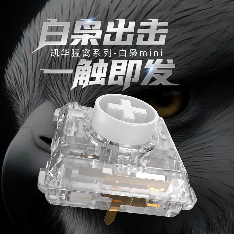 Kailh Choc White Owl Switch Mi - đánh giá và giá Pc Gaming White