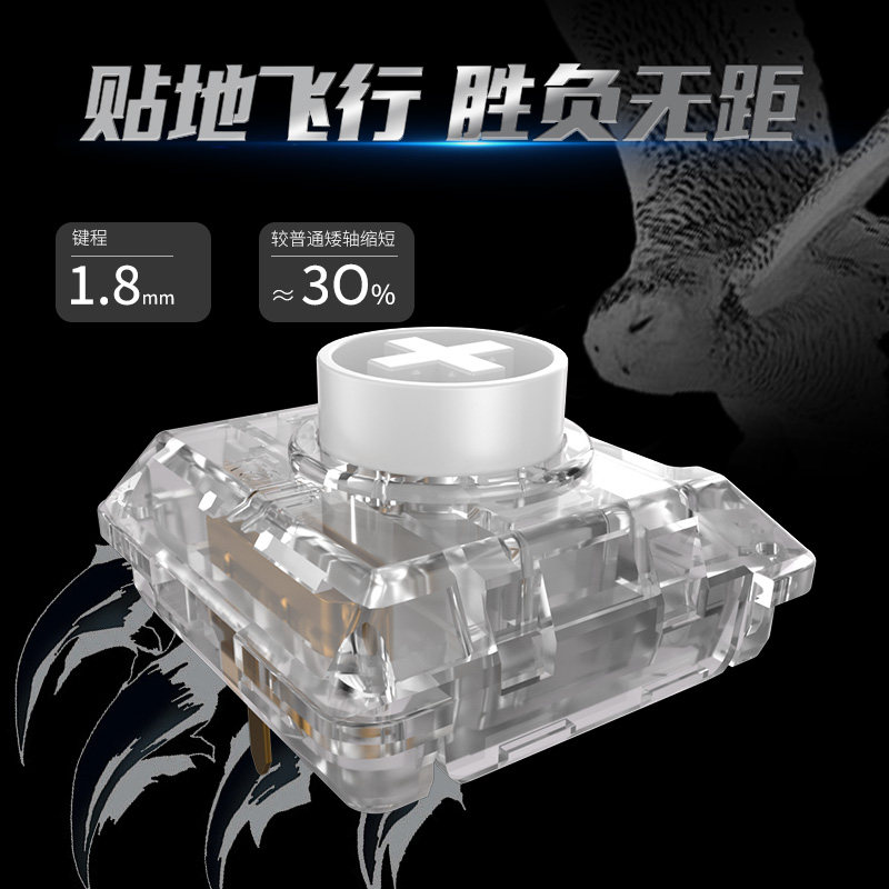 Kailh Choc White Owl Switch Mi - đánh giá và giá Pc Gaming White