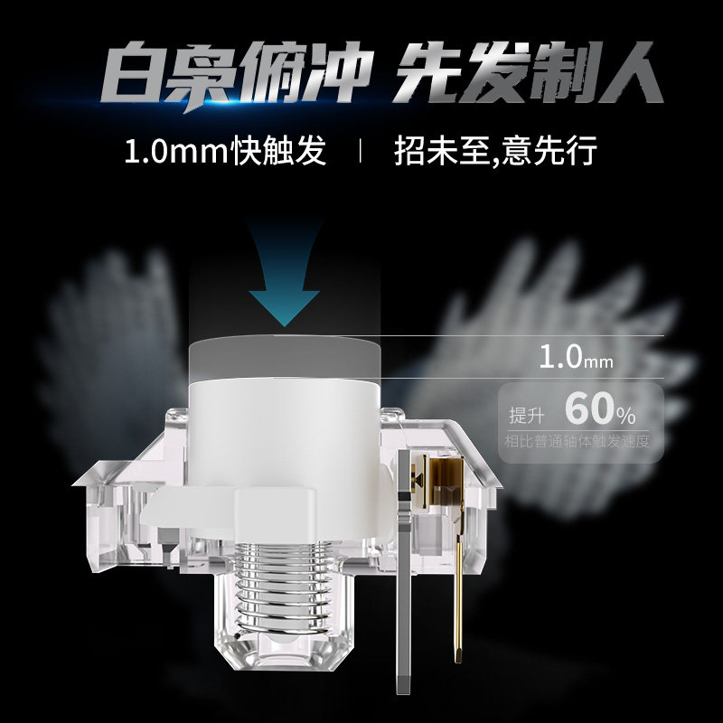 Kailh Choc White Owl Switch Mi - đánh giá và giá Pc Gaming White